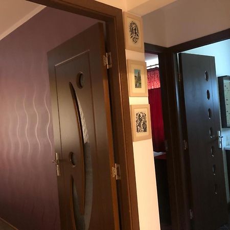 Apartament Cu 3 Camere La Poala Muntilor Fagaras Victoria (Brasov) Exterior foto